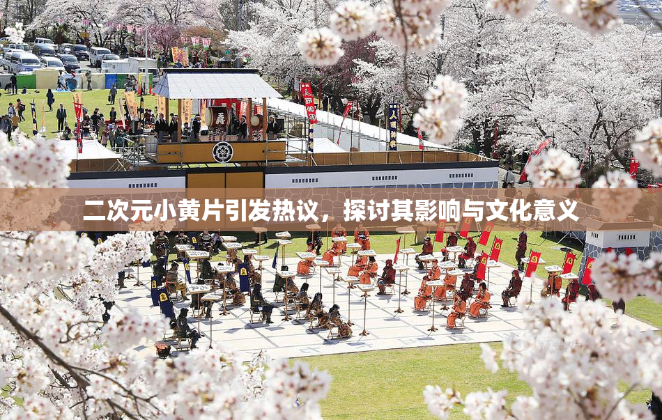 二次元小黄片引发热议，探讨其影响与文化意义