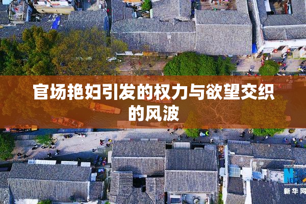 官场艳妇引发的权力与欲望交织的风波