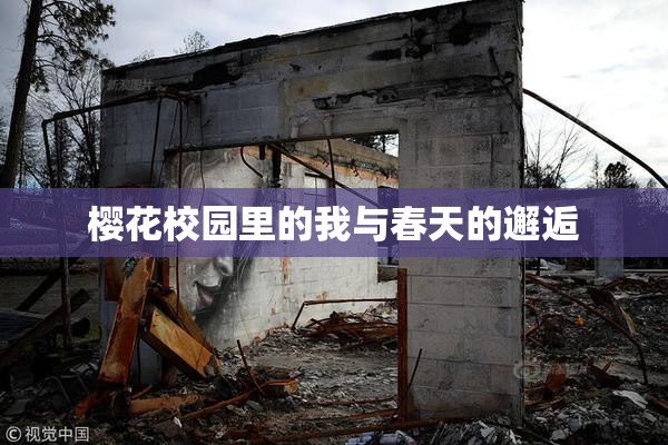 樱花校园里的我与春天的邂逅