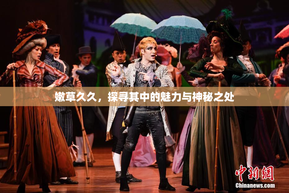 嫩草久久，探寻其中的魅力与神秘之处