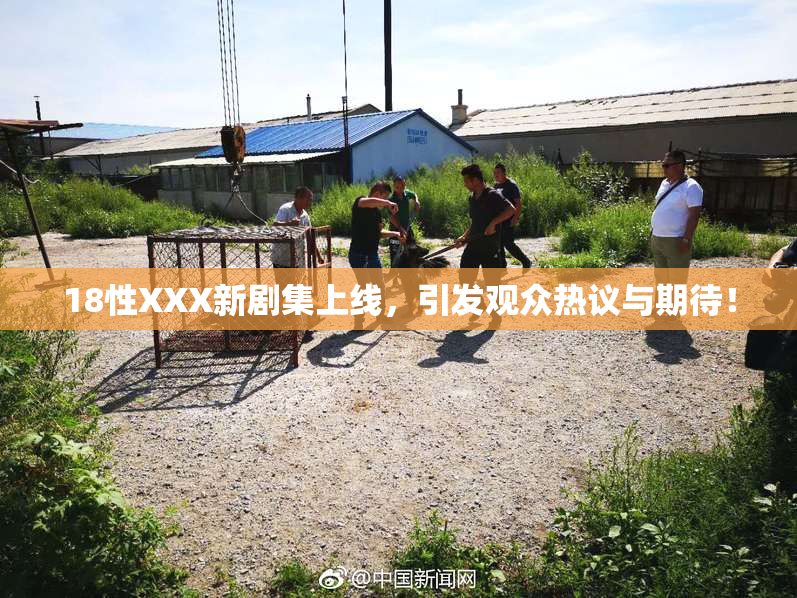 18性XXX新剧集上线，引发观众热议与期待！