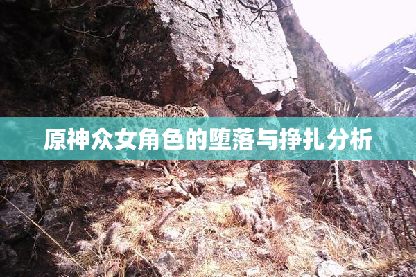 原神众女角色的堕落与挣扎分析