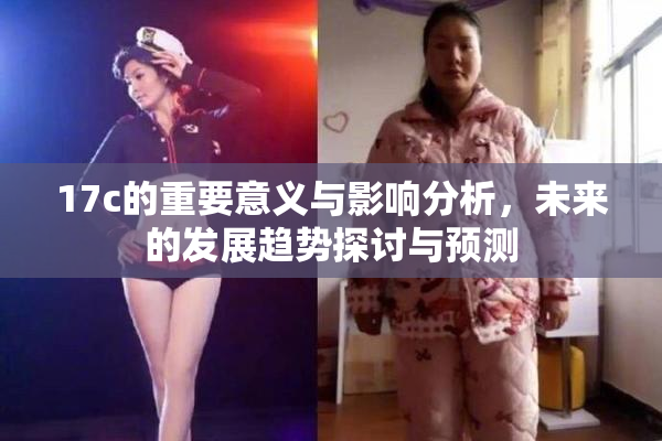 17c的重要意义与影响分析，未来的发展趋势探讨与预测