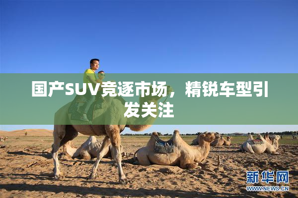 国产SUV竞逐市场，精锐车型引发关注