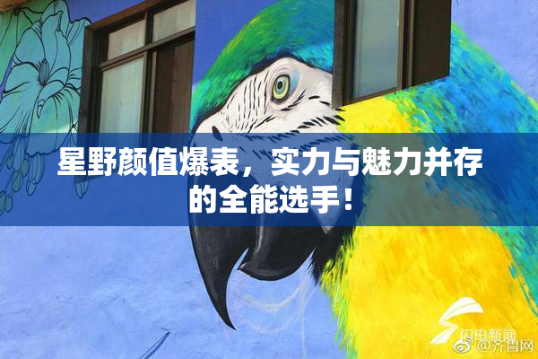 星野颜值爆表，实力与魅力并存的全能选手！