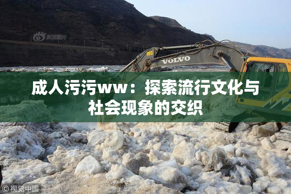 成人污污ww：探索流行文化与社会现象的交织