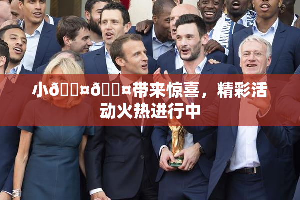 小🐤🐤带来惊喜，精彩活动火热进行中
