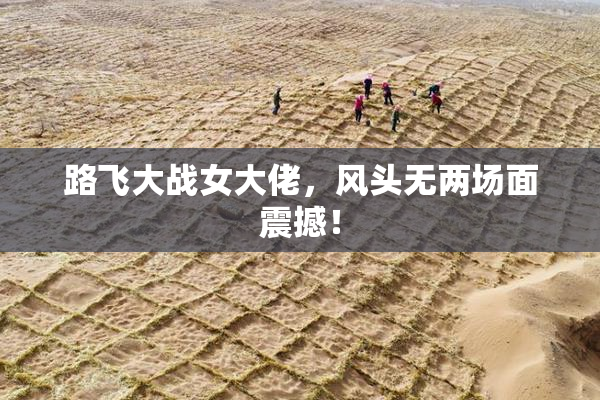 路飞大战女大佬，风头无两场面震撼！