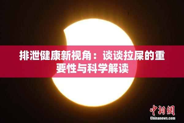 排泄健康新视角：谈谈拉屎的重要性与科学解读