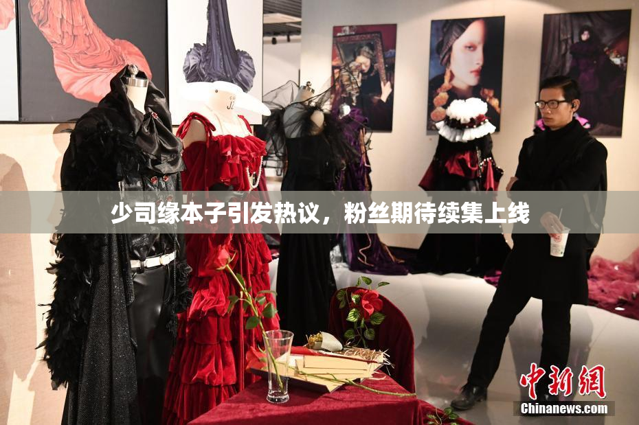 少司缘本子引发热议，粉丝期待续集上线