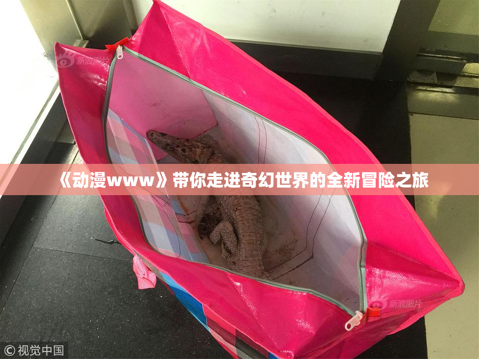 《动漫www》带你走进奇幻世界的全新冒险之旅