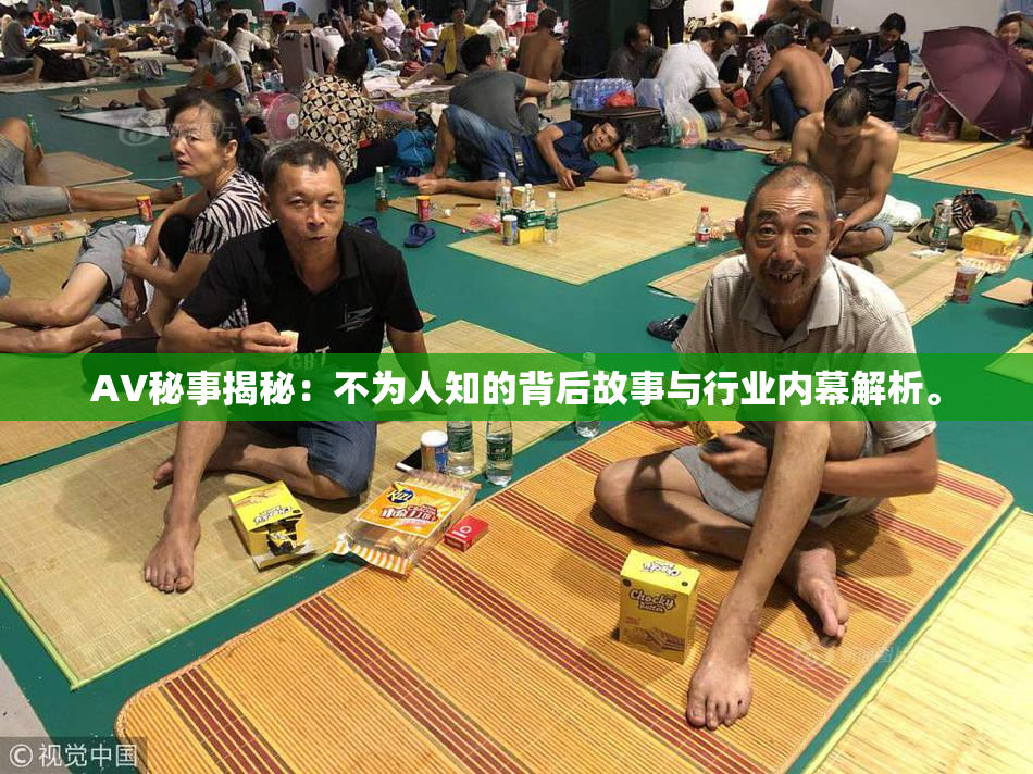 AV秘事揭秘：不为人知的背后故事与行业内幕解析。