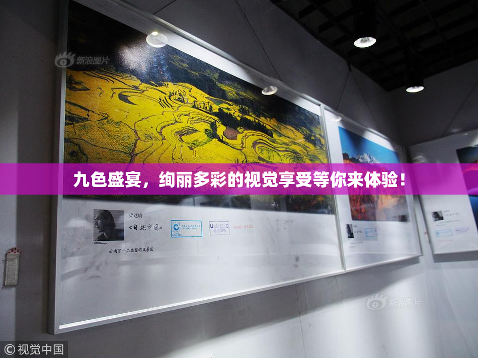 九色盛宴，绚丽多彩的视觉享受等你来体验！