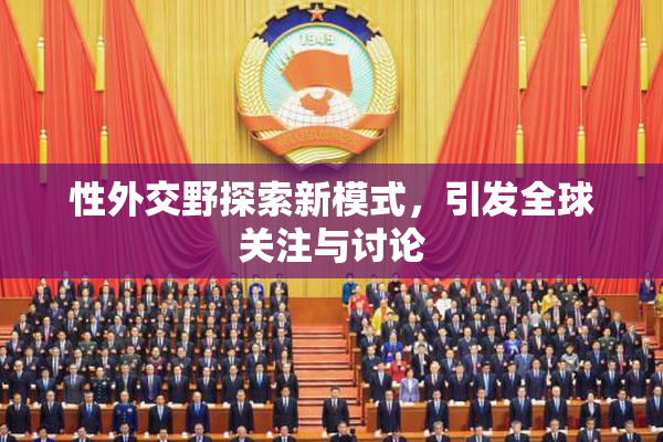 性外交野探索新模式，引发全球关注与讨论
