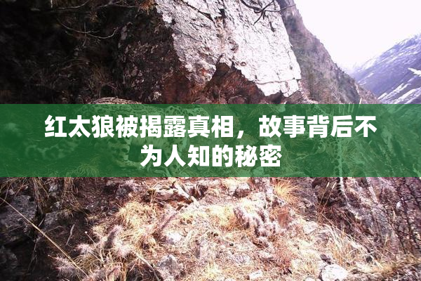 红太狼被揭露真相，故事背后不为人知的秘密