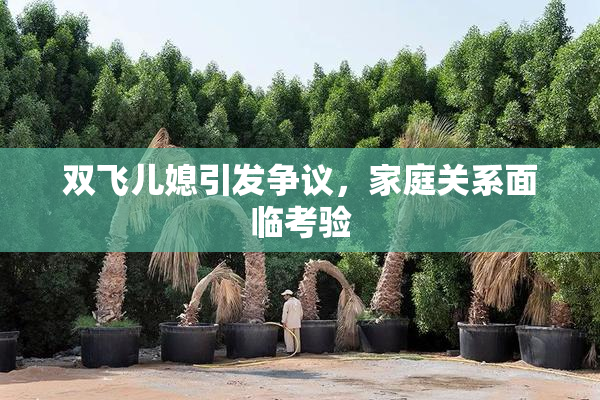 双飞儿媳引发争议，家庭关系面临考验