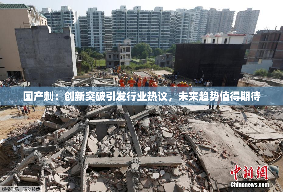国产刺：创新突破引发行业热议，未来趋势值得期待