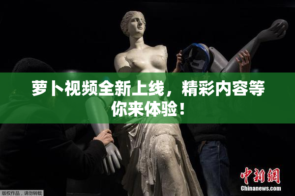 萝卜视频全新上线，精彩内容等你来体验！