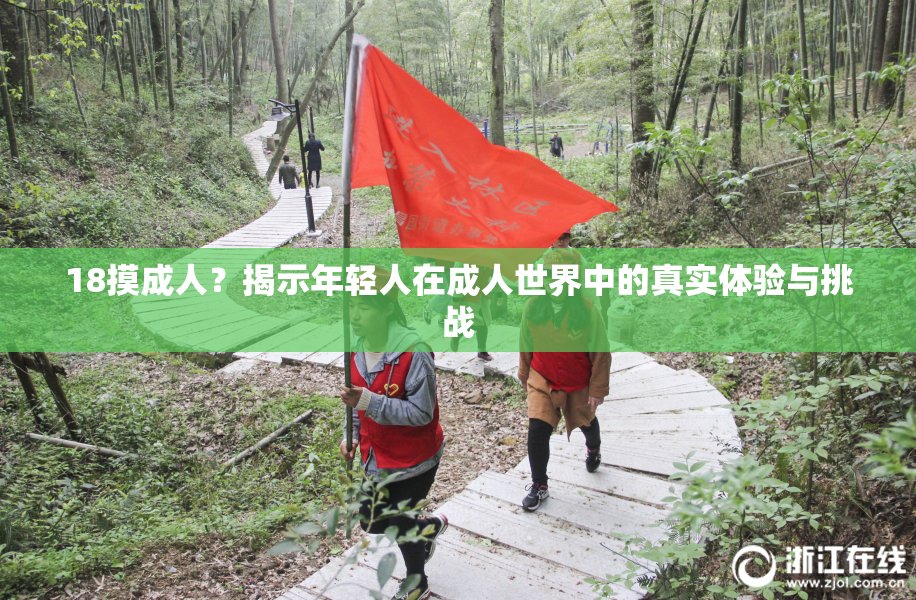 18摸成人？揭示年轻人在成人世界中的真实体验与挑战
