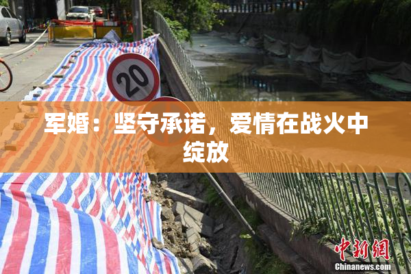军婚：坚守承诺，爱情在战火中绽放
