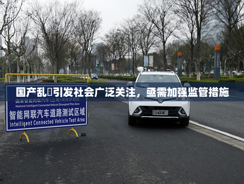 国产乱婬引发社会广泛关注，亟需加强监管措施