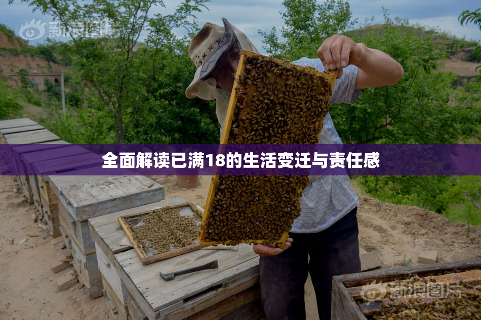 全面解读已满18的生活变迁与责任感