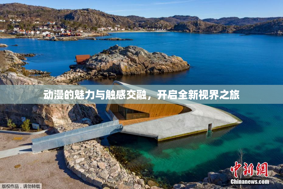 动漫的魅力与触感交融，开启全新视界之旅