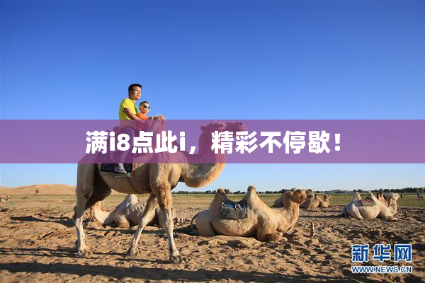 满i8点此i，精彩不停歇！