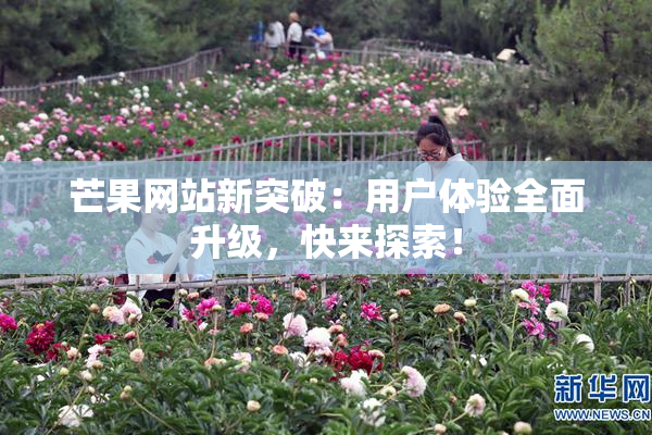 芒果网站新突破：用户体验全面升级，快来探索！