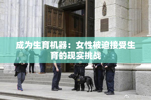 成为生育机器：女性被迫接受生育的现实挑战