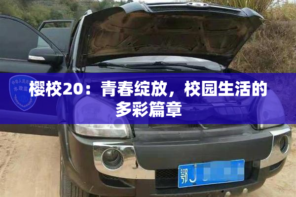 樱校20：青春绽放，校园生活的多彩篇章