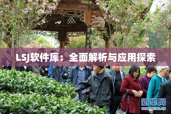 LSJ软件库：全面解析与应用探索