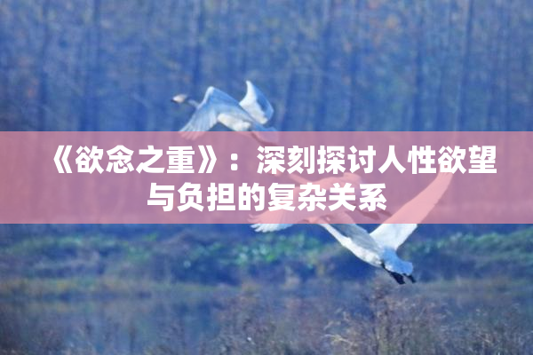 《欲念之重》：深刻探讨人性欲望与负担的复杂关系