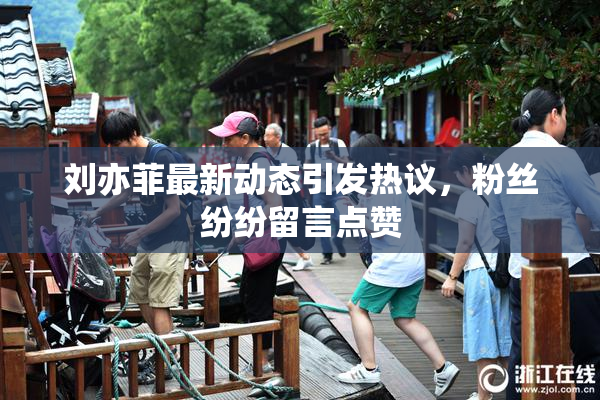 刘亦菲最新动态引发热议，粉丝纷纷留言点赞