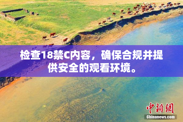 检查18禁C内容，确保合规并提供安全的观看环境。