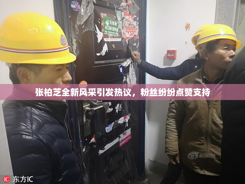 张柏芝全新风采引发热议，粉丝纷纷点赞支持