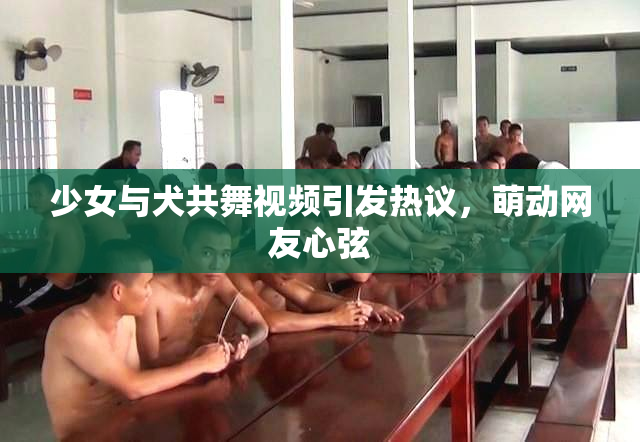 少女与犬共舞视频引发热议，萌动网友心弦