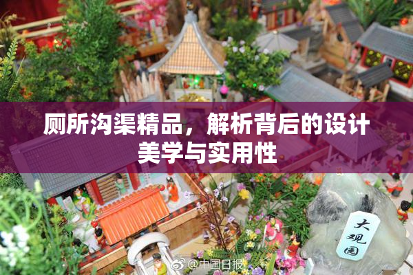 厕所沟渠精品，解析背后的设计美学与实用性