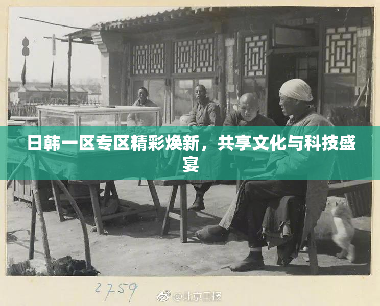 日韩一区专区精彩焕新，共享文化与科技盛宴