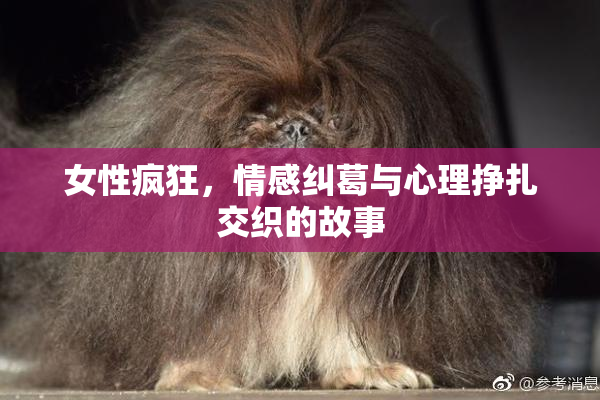 女性疯狂，情感纠葛与心理挣扎交织的故事