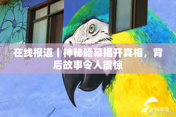 在线报道丨神秘暗幕揭开真相，背后故事令人震惊