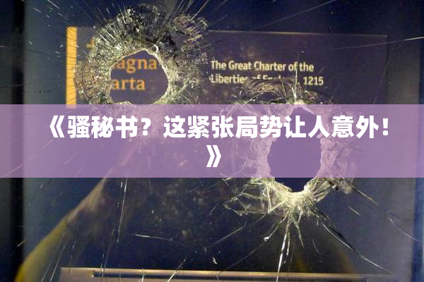 《骚秘书？这紧张局势让人意外！》