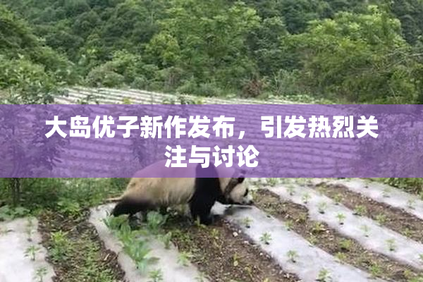 大岛优子新作发布，引发热烈关注与讨论