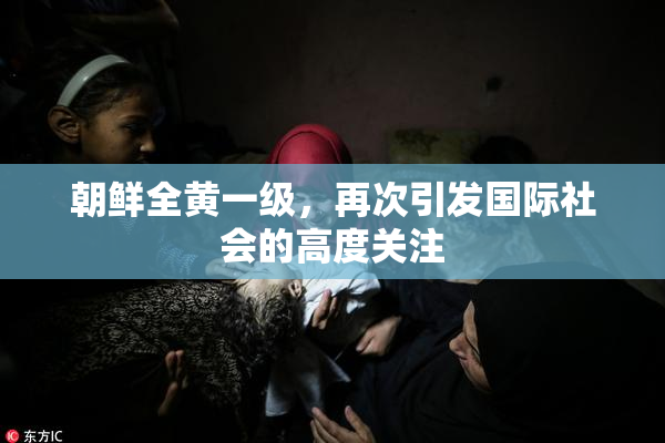 朝鲜全黄一级，再次引发国际社会的高度关注