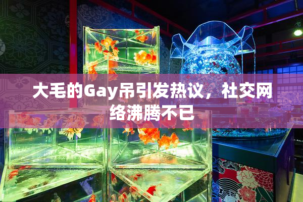 大毛的Gay吊引发热议，社交网络沸腾不已