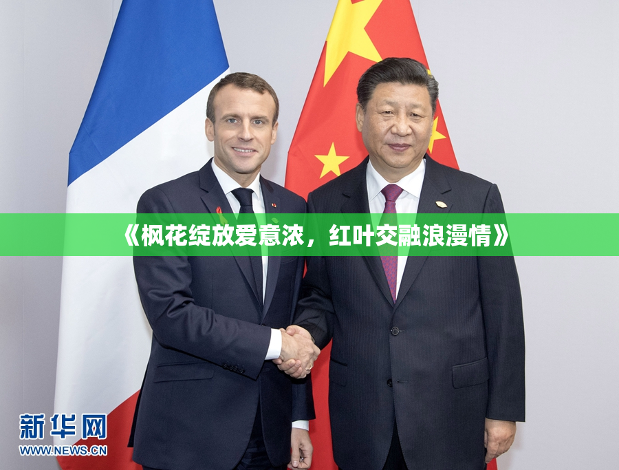 《枫花绽放爱意浓，红叶交融浪漫情》