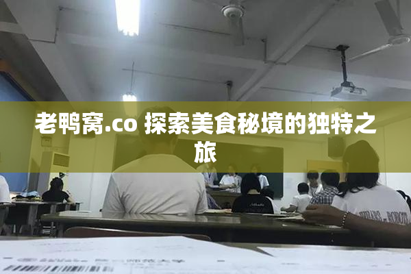 老鸭窝.co 探索美食秘境的独特之旅