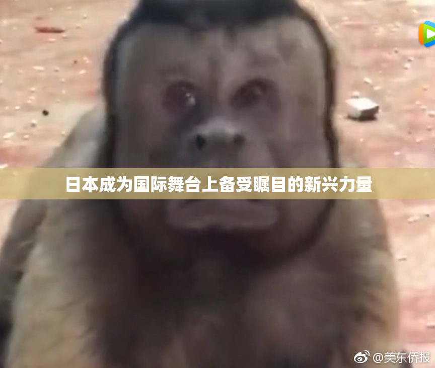日本成为国际舞台上备受瞩目的新兴力量