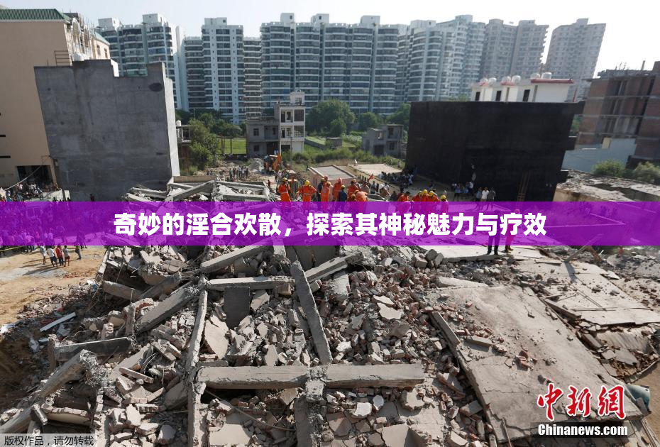 奇妙的淫合欢散，探索其神秘魅力与疗效