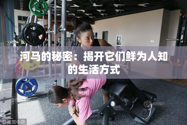 河马的秘密：揭开它们鲜为人知的生活方式